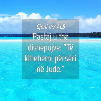 Picture 04 - Gjoni 11:7 ALB - Pastaj u tha dishepujve: “Të kthehemi - Bible Verse Picture