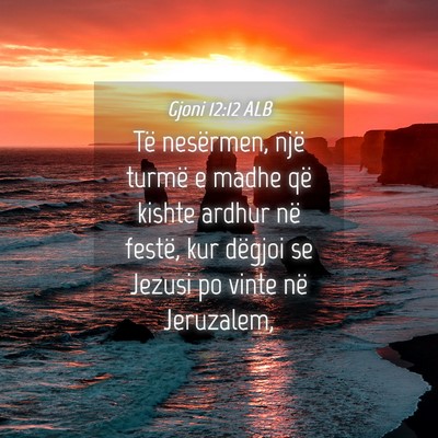 Picture 04 - Gjoni 12:12 ALB - Të nesërmen, një turmë e madhe që kishte - Bible Verse Picture