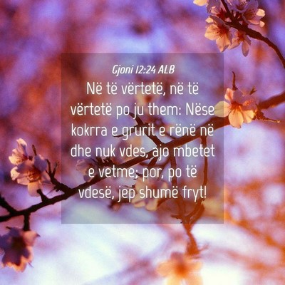 Picture 04 - Gjoni 12:24 ALB - Në të vërtetë, në të vërtetë po ju them: - Bible Verse Picture
