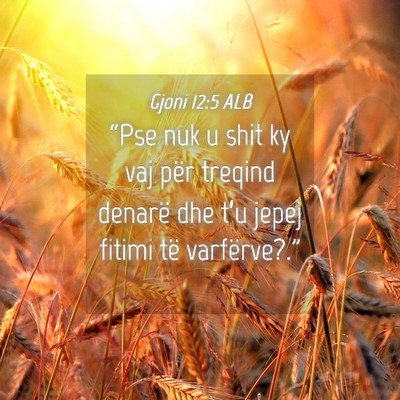 Picture 04 - Gjoni 12:5 ALB - “Pse nuk u shit ky vaj për treqind denarë dhe - Bible Verse Picture