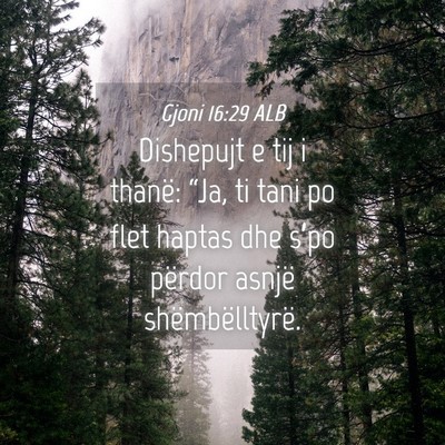 Picture 04 - Gjoni 16:29 ALB - Dishepujt e tij i thanë: “Ja, ti tani po flet - Bible Verse Picture