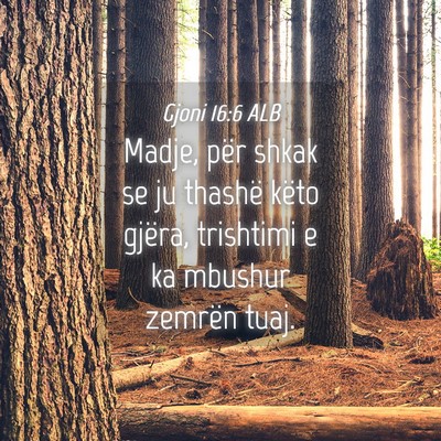 Picture 04 - Gjoni 16:6 ALB - Madje, për shkak se ju thashë këto gjëra, - Bible Verse Picture