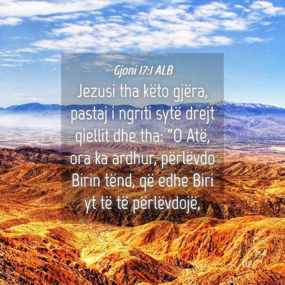 Picture 04 - Gjoni 17:1 ALB - Jezusi tha këto gjëra, pastaj i ngriti sytë - Bible Verse Picture