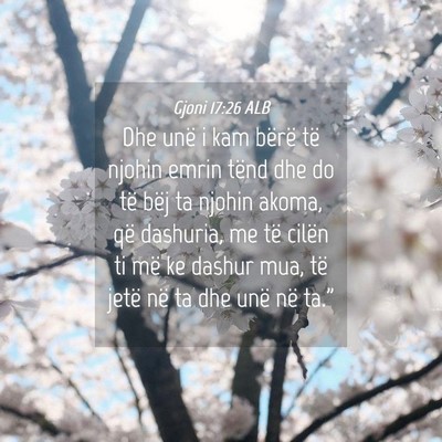 Picture 04 - Gjoni 17:26 ALB - Dhe unë i kam bërë të njohin emrin tënd dhe - Bible Verse Picture