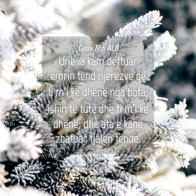 Picture 04 - Gjoni 17:6 ALB - Unë ia kam dëftuar emrin tënd njerëzve që ti - Bible Verse Picture