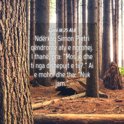 Picture 04 - Gjoni 18:25 ALB - Ndërkaq Simon Pjetri qëndronte aty e ngrohej. I - Bible Verse Picture