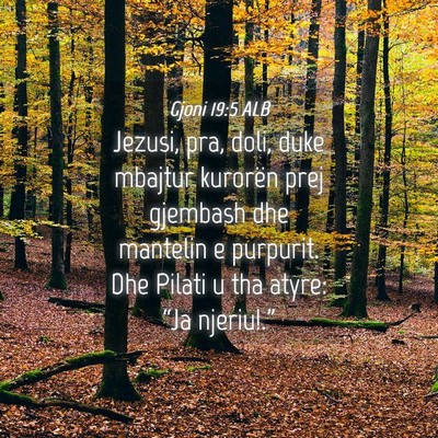 Picture 04 - Gjoni 19:5 ALB - Jezusi, pra, doli, duke mbajtur kurorën prej - Bible Verse Picture