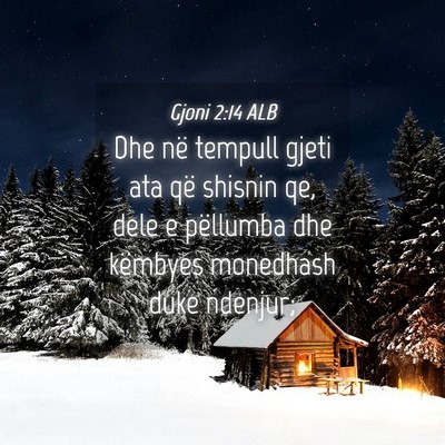 Picture 04 - Gjoni 2:14 ALB - Dhe në tempull gjeti ata që shisnin qe, dele e - Bible Verse Picture
