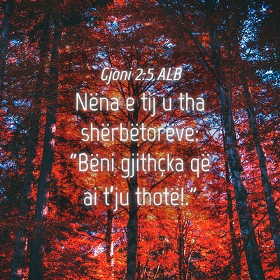 Picture 04 - Gjoni 2:5 ALB - Nëna e tij u tha shërbëtorëve: “Bëni - Bible Verse Picture