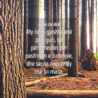 Picture 04 - Gjoni 2:6 ALB - Aty ishin gjashtë enë prej guri, që - Bible Verse Picture