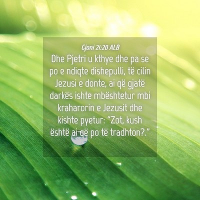 Picture 04 - Gjoni 21:20 ALB - Dhe Pjetri u kthye dhe pa se po e ndiqte - Bible Verse Picture