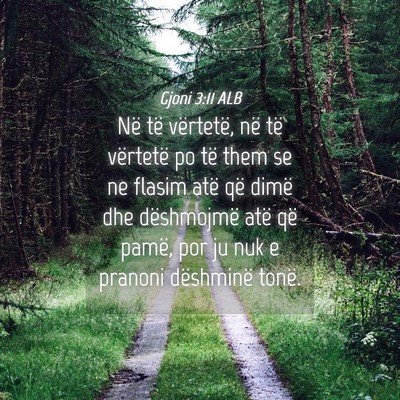 Picture 04 - Gjoni 3:11 ALB - Në të vërtetë, në të vërtetë po të them - Bible Verse Picture