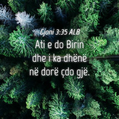 Picture 04 - Gjoni 3:35 ALB - Ati e do Birin dhe i ka dhënë në dorë çdo - Bible Verse Picture