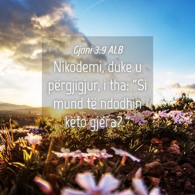 Picture 04 - Gjoni 3:9 ALB - Nikodemi, duke u përgjigjur, i tha: “Si mund - Bible Verse Picture