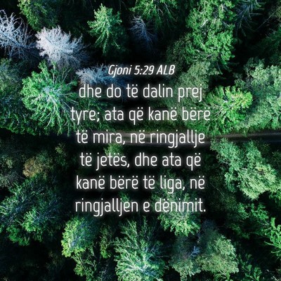 Picture 04 - Gjoni 5:29 ALB - dhe do të dalin prej tyre; ata që kanë bërë - Bible Verse Picture