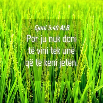 Picture 04 - Gjoni 5:40 ALB - Por ju nuk doni të vini tek unë që të keni - Bible Verse Picture