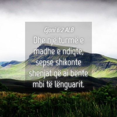 Picture 04 - Gjoni 6:2 ALB - Dhe një turmë e madhe e ndiqte, sepse shikonte - Bible Verse Picture