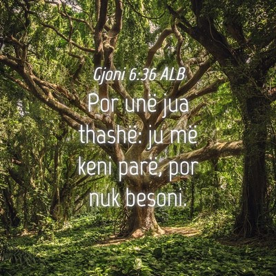 Picture 04 - Gjoni 6:36 ALB - Por unë jua thashë: ju më keni parë, por nuk - Bible Verse Picture
