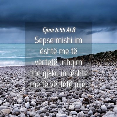 Picture 04 - Gjoni 6:55 ALB - Sepse mishi im është me të vërtetë ushqim - Bible Verse Picture