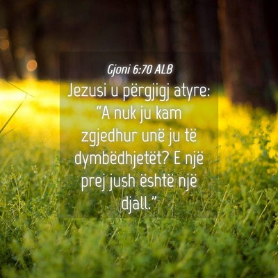 Picture 04 - Gjoni 6:70 ALB - Jezusi u përgjigj atyre: “A nuk ju kam - Bible Verse Picture