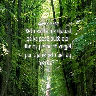 Picture 04 - Gjoni 6:9 ALB - “Këtu është një djalosh që ka pesë bukë - Bible Verse Picture