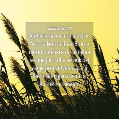 Picture 04 - Gjoni 8:28 ALB - Atëherë Jezusi u tha atyre: “Kur ta keni - Bible Verse Picture