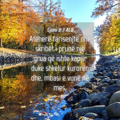 Picture 04 - Gjoni 8:3 ALB - Atëherë farisenjtë dhe skribët i prunë një - Bible Verse Picture