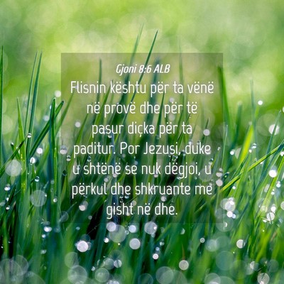 Picture 04 - Gjoni 8:6 ALB - Flisnin kështu për ta vënë në provë dhe - Bible Verse Picture