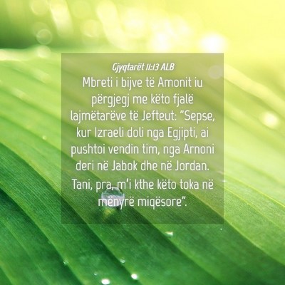 Picture 04 - Gjyqtarët 11:13 ALB - Mbreti i bijve të Amonit iu përgjegj me këto - Bible Verse Picture