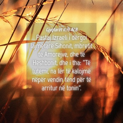 Picture 04 - Gjyqtarët 11:19 ALB - Pastaj Izraeli i dërgoi lajmëtarë Sihonit, - Bible Verse Picture