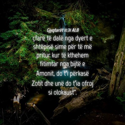 Picture 04 - Gjyqtarët 11:31 ALB - çfarë të dalë nga dyert e shtëpisë sime - Bible Verse Picture