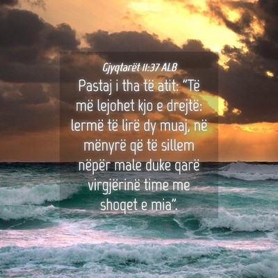 Picture 04 - Gjyqtarët 11:37 ALB - Pastaj i tha të atit: 