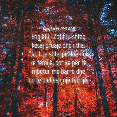 Picture 04 - Gjyqtarët 13:3 ALB - Engjëlli i Zotit iu shfaq kësaj gruaje dhe i - Bible Verse Picture