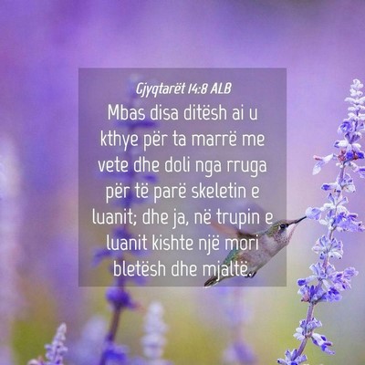 Picture 04 - Gjyqtarët 14:8 ALB - Mbas disa ditësh ai u kthye për ta marrë me - Bible Verse Picture