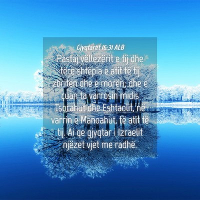 Picture 04 - Gjyqtarët 16:31 ALB - Pastaj vëllezërit e tij dhe tërë shtëpia e - Bible Verse Picture