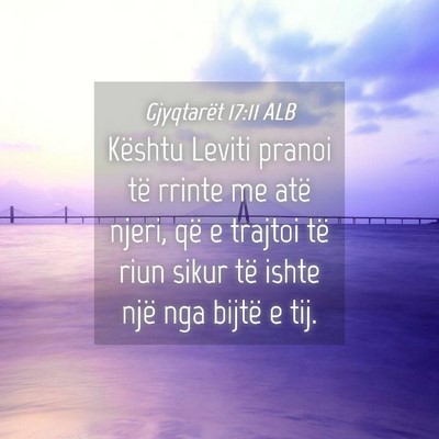 Picture 04 - Gjyqtarët 17:11 ALB - Kështu Leviti pranoi të rrinte me atë njeri, - Bible Verse Picture