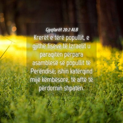 Picture 04 - Gjyqtarët 20:2 ALB - Krerët e tërë popullit, e gjithë fiseve të - Bible Verse Picture