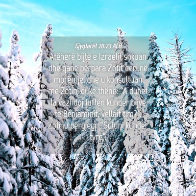 Picture 04 - Gjyqtarët 20:23 ALB - Atëherë bijtë e Izraelit shkuan dhe qanë - Bible Verse Picture