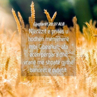 Picture 04 - Gjyqtarët 20:37 ALB - Njerëzit e pritës u hodhën menjëherë mbi - Bible Verse Picture