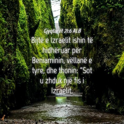 Picture 04 - Gjyqtarët 21:6 ALB - Bijtë e Izraelit ishin të hidhëruar për - Bible Verse Picture