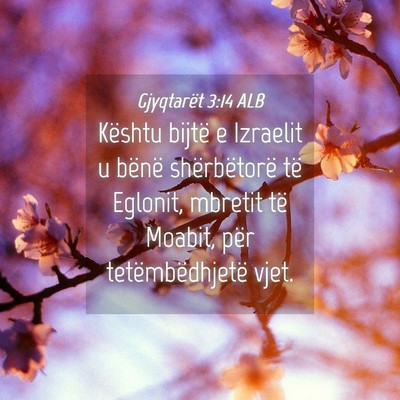 Picture 04 - Gjyqtarët 3:14 ALB - Kështu bijtë e Izraelit u bënë shërbëtorë - Bible Verse Picture