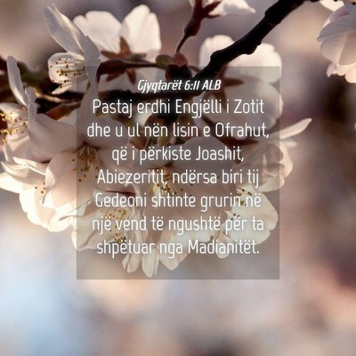 Picture 04 - Gjyqtarët 6:11 ALB - Pastaj erdhi Engjëlli i Zotit dhe u ul nën - Bible Verse Picture