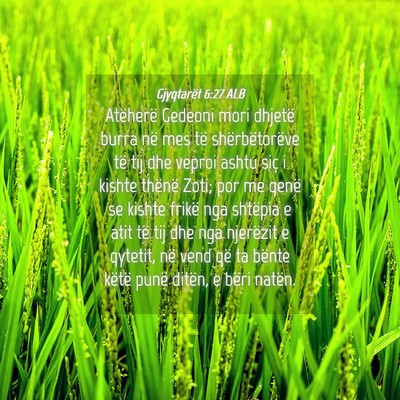 Picture 04 - Gjyqtarët 6:27 ALB - Atëherë Gedeoni mori dhjetë burra në mes të - Bible Verse Picture