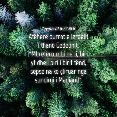 Picture 04 - Gjyqtarët 8:22 ALB - Atëherë burrat e Izraelit i thanë Gedeonit: - Bible Verse Picture