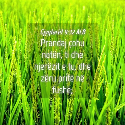 Picture 04 - Gjyqtarët 9:32 ALB - Prandaj çohu natën, ti dhe njerëzit e tu, dhe - Bible Verse Picture