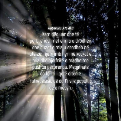 Picture 04 - Habakuku 3:16 ALB - Kam dëgjuar dhe të përbrendshmet e mia u - Bible Verse Picture