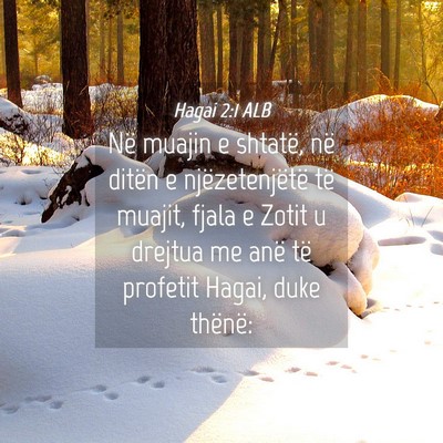 Picture 04 - Hagai 2:1 ALB - Në muajin e shtatë, në ditën e - Bible Verse Picture
