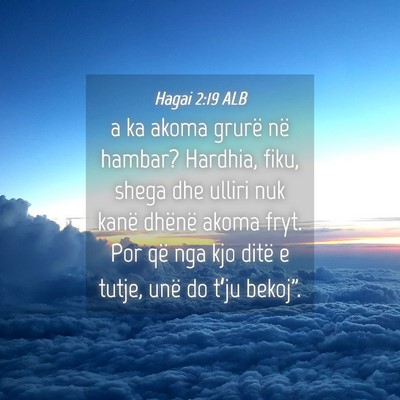 Picture 04 - Hagai 2:19 ALB - a ka akoma grurë në hambar? Hardhia, fiku, - Bible Verse Picture