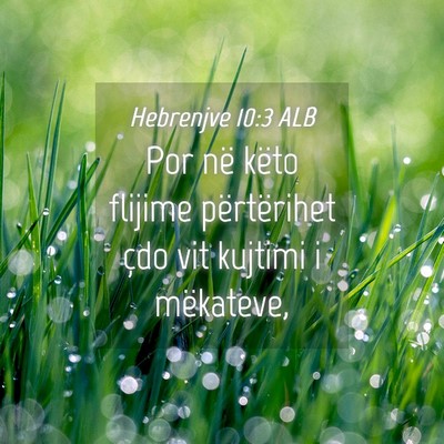 Picture 04 - Hebrenjve 10:3 ALB - Por në këto flijime përtërihet çdo vit - Bible Verse Picture