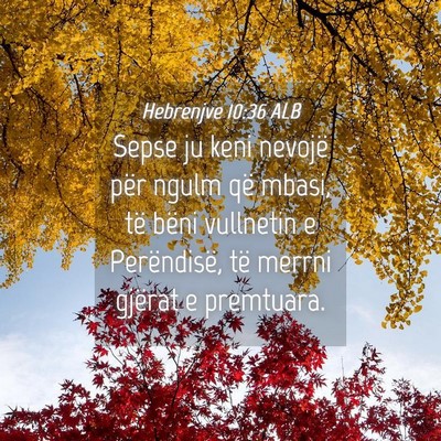 Picture 04 - Hebrenjve 10:36 ALB - Sepse ju keni nevojë për ngulm që mbasi, të - Bible Verse Picture